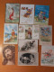 TEM20728- 17 Cartoline Illustrate Di " Buona Pasqua " Quasi Tutte Viaggiate - Easter
