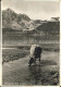 11646529 Melchsee-Frutt Hotel Reinhard Am See Kuh Melchsee-Frutt - Autres & Non Classés