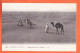 32802 / ⭐ Ethnic Scènes Et Types (•◡•) Algérie ◉ Dunes De Sable Du SAHARA Meharis Chameaux 1910s ◉ LEVY LL-6008 - Scènes & Types