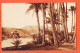 32708 / ⭐ Carte Toilée (•◡•) HELIOPOLIS Onou Egypte ♥️ Palmiers Bords NIL 1910s Editeur Photographie Artistique CRUPI  - Sonstige & Ohne Zuordnung