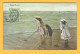 CPA Touquet - Paris-Plage - Pêcheuse De Crevettes - 1907 - Le Touquet