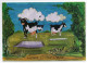 CPM HUMOUR VACHE COW  -   CORNISH CLOTTED CREAM  - VACHES SUR TREMPOLINE - Humour