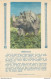 Carte Publicitaire-L'Express Teinture-Rhinocéros      L1427 - Advertising