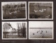 7 Photos Originales 80 SOMME 1975 "Canards En Bois étang De Hutte Et Le Hourdel Vache " _PHOT216a&b - Andere & Zonder Classificatie