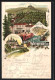 Lithographie Wernigerode A. Harz, Knaufs Hotel, Schloss, Brockenhaus  - Wernigerode