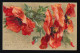 Mohnblume, Klatschmohn Mohn Gemalt, Rot Blüten Knospen Blätter, Berlin 16.9.1902 - Other & Unclassified