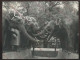 CIRQUE - LES ELEPHANTS DU CIRQUE ALTHOFF RENCONTRENT LES ELEPHANTS DU ZOO DE BERLIN EN 1958 - FORMAT 16 X 21.5 CM - Other & Unclassified