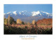 Vignes - Les Vignes Du Roussillon Au Pied Du Canigou - CPM - Carte Neuve - Voir Scans Recto-Verso - Weinberge