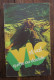 Vic St Val Quitte Ou Double. Editions Fleuve Noir, Collection Inframatic #16. 1973 - Fleuve Noir