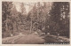 Postcard Bad Polzin Połczyn Zdrój Partie Im Kurpark (Gute Stube) 1929  - Pommern