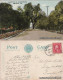 Postcard Alhambra (Kalifornien) South First St. Looking North 1913  - Andere & Zonder Classificatie