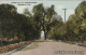 Postcard Alhambra (Kalifornien) South First St. Looking North 1913  - Andere & Zonder Classificatie