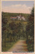 Ansichtskarte Meerane Ferienkolonieheim Am Kirchenholz 1929  - Meerane