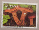Guyane Timbre Champignon Oblitéré - Guyana (1966-...)