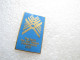 PIN'S    THE  TENTH   PAN AM GAMES  INDIANAPOLIS  1987   Email Grand Feu - Altri & Non Classificati