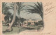 CARTOLINA 1901 FRANCIA 5 C TIMBRO NICE (XT3839 - Lettres & Documents