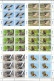 Rarotonga A Set Of 12 MNH Minisheets Of 6 Stamps Together - Eagles & Birds Of Prey