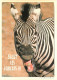 Animaux - Zèbres - Carte à Message Ou Humoristique - CPM - Carte Neuve - Voir Scans Recto-Verso - Zebra's