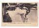 Carte Postale 1908 Monte Carlo Monaco Chepoix Oise Salle De Jeu - Peinture Le Soir Par Hodebert - Covers & Documents