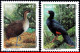 Ref. BR-2535-36 BRAZIL 1995 - ENDANGERED BIRDS,CURASSOW, MI# 2644-45, SET MNH, ANIMALS, FAUNA 2V Sc# 2535-2356 - Neufs