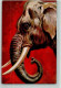 39151907 - Elefant AK - Donadini, Antonio