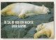 GEBÄREN Tier Vintage Ansichtskarte Postkarte CPSM #PBS274.A - Beren