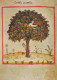 ALBERO Vintage Cartolina CPSM #PBZ991.A - Trees