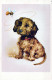 HUND Tier Vintage Ansichtskarte Postkarte CPA #PKE779.DE - Chiens