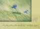 FLOWERS Vintage Ansichtskarte Postkarte CPSM #PBZ478.DE - Flores