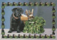 HUND Tier Vintage Ansichtskarte Postkarte CPSM #PAN723.DE - Chiens