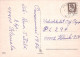 CABALLO Animales Vintage Tarjeta Postal CPSM #PBR842.ES - Chevaux