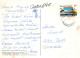 FLEURS Vintage Carte Postale CPSM #PAR168.FR - Flores