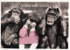 SINGE Animaux Vintage Carte Postale CPSM #PAN986.FR - Singes