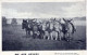 BURRO Animales Vintage Antiguo CPA Tarjeta Postal #PAA207.ES - Donkeys