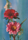 FLOWERS Vintage Postcard CPSM #PAS428.GB - Flowers