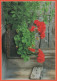 FLOWERS Vintage Postcard CPSM #PAR347.GB - Fleurs