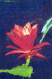 FIORI Vintage Cartolina CPA #PKE533.IT - Flowers