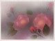 FIORI Vintage Cartolina CPSM #PBZ659.IT - Flowers
