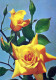FIORI Vintage Cartolina CPSM #PAS192.IT - Flowers