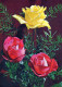 FIORI Vintage Cartolina CPSM #PAS012.IT - Flowers