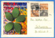 Berlin West 1955 - Carte Postale De Kassel - G33039 - Covers & Documents