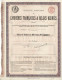 Titre De 1879 - Société Des Carrières Françaises & Belges Réunies - - Mijnen