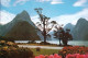 2 AK New Zealand * Milford Sound Und Mitre Peak Im Nationalpark Te Wahipounamu * Seit 1990 Weltnaturerbe Der UNESCO * - Nouvelle-Zélande