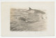 Card / Postmark USA 1934 Byrd Antarctic Expedition II - Photo Postcard Whale - Expéditions Arctiques