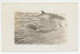 Card / Postmark USA 1934 Byrd Antarctic Expedition II - Photo Postcard Whale - Arctic Expeditions