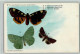 13023207 - Schmetterlinge Aus Medicus - Schmetterlinge