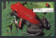 COSTA RICA - Carte Maximum Card - ATM - Rana Roja Venenosa / Poison Dart Frog / Dendrobates Granuliferus - Costa Rica