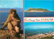 Gibraltar - Multivues - Singes - CPM - Voir Scans Recto-Verso - Gibraltar