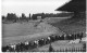 92 COLOMBES - Le Stade - Athlétisme - Animé - CPSM PF écrite En 1956 - Colombes