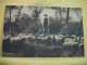 Delcampe - 40 3725 LOT N° 5  DE 15 CPA DIFFERENTES SUR  LES BERGERS ET MOUTONS DANS LES LANDES - Elevage